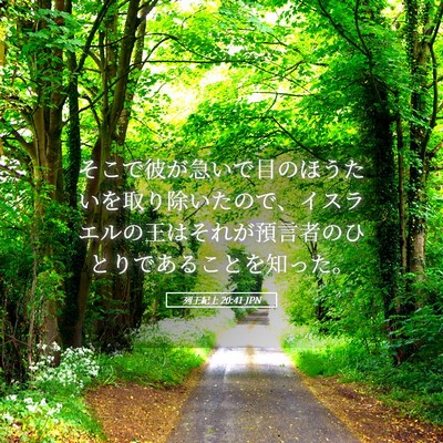 Picture 05 - 列王紀上 20:41 JPN - そこで彼が急いで目のほうたいを取 - Bible Verse Picture