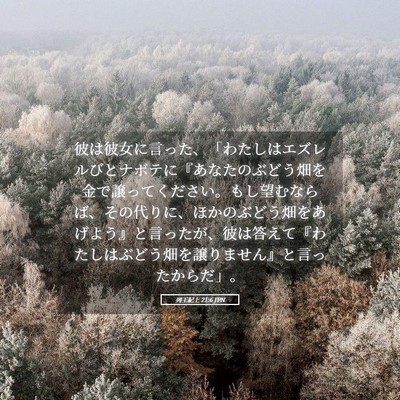 Picture 05 - 列王紀上 21:6 JPN - 彼は彼女に言った、「わたしはエズ - Bible Verse Picture