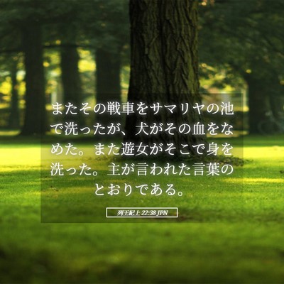 Picture 05 - 列王紀上 22:38 JPN - またその戦車をサマリヤの池で洗っ - Bible Verse Picture