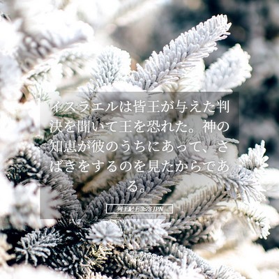 Picture 05 - 列王紀上 3:28 JPN - イスラエルは皆王が与えた判決を聞 - Bible Verse Picture