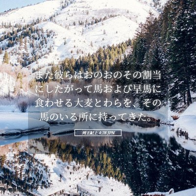 Picture 05 - 列王紀上 4:28 JPN - また彼らはおのおのその割当にした - Bible Verse Picture