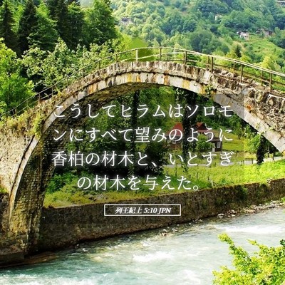 Picture 05 - 列王紀上 5:10 JPN - こうしてヒラムはソロモンにすべて - Bible Verse Picture