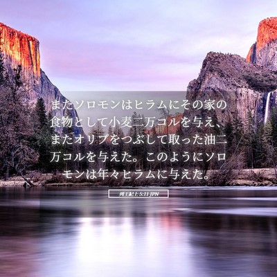 Picture 05 - 列王紀上 5:11 JPN - またソロモンはヒラムにその家の食 - Bible Verse Picture