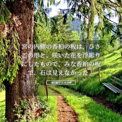 Picture 05 - 列王紀上 6:18 JPN - 宮の内側の香柏の板は、ひさごの形 - Bible Verse Picture