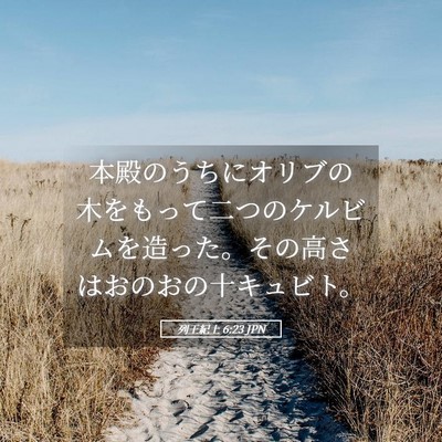 Picture 05 - 列王紀上 6:23 JPN - 本殿のうちにオリブの木をもって二 - Bible Verse Picture