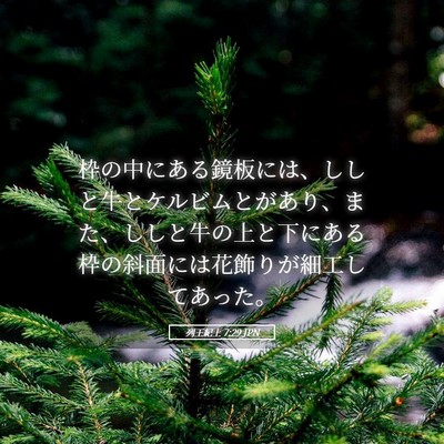 Picture 05 - 列王紀上 7:29 JPN - 枠の中にある鏡板には、ししと牛と - Bible Verse Picture