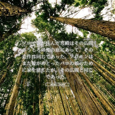 Picture 05 - 列王紀上 7:8 JPN - ソロモンが住んだ宮殿はその広間の - Bible Verse Picture