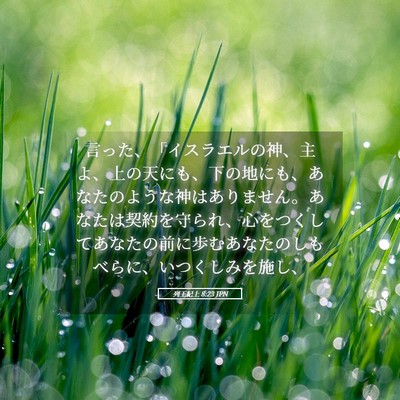 Picture 05 - 列王紀上 8:23 JPN - 言った、「イスラエルの神、主よ、 - Bible Verse Picture