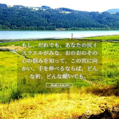 Picture 05 - 列王紀上 8:38 JPN - もし、だれでも、あなたの民イスラ - Bible Verse Picture