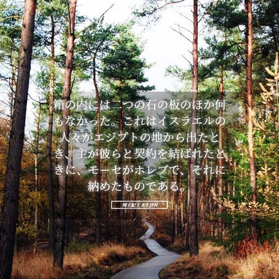 Picture 05 - 列王紀上 8:9 JPN - 箱の内には二つの石の板のほか何も - Bible Verse Picture