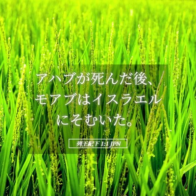 Picture 05 - 列王紀下 1:1 JPN - アハブが死んだ後、モアブはイスラ - Bible Verse Picture