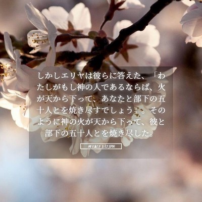Picture 05 - 列王紀下 1:12 JPN - しかしエリヤは彼らに答えた、「わ - Bible Verse Picture