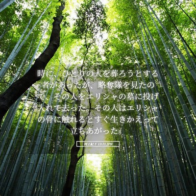 Picture 05 - 列王紀下 13:21 JPN - 時に、ひとりの人を葬ろうとする者 - Bible Verse Picture