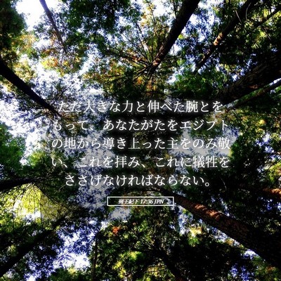 Picture 05 - 列王紀下 17:36 JPN - ただ大きな力と伸べた腕とをもって - Bible Verse Picture