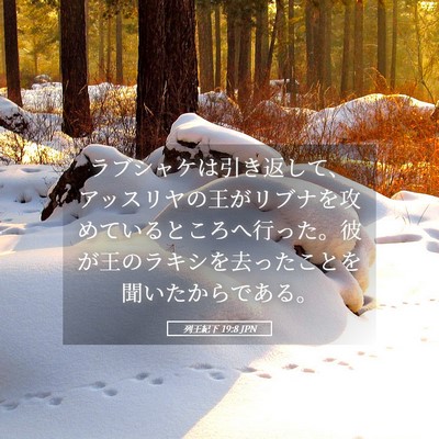 Picture 05 - 列王紀下 19:8 JPN - ラブシャケは引き返して、アッスリ - Bible Verse Picture