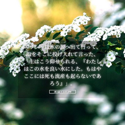 Picture 05 - 列王紀下 2:21 JPN - エリシャは水の源へ出て行って、塩 - Bible Verse Picture