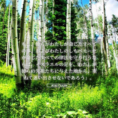 Picture 05 - 列王紀下 21:8 JPN - もし、彼らがわたしが命じたすべて - Bible Verse Picture