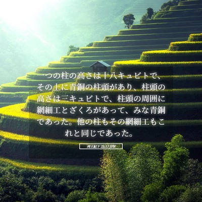 Picture 05 - 列王紀下 25:17 JPN - 一つの柱の高さは十八キュビトで、 - Bible Verse Picture