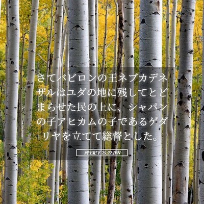 Picture 05 - 列王紀下 25:22 JPN - さてバビロンの王ネブカデネザルは - Bible Verse Picture