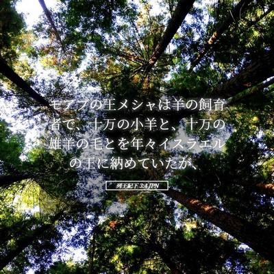 Picture 05 - 列王紀下 3:4 JPN - モアブの王メシャは羊の飼育者で、 - Bible Verse Picture