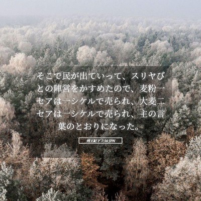 Picture 05 - 列王紀下 7:16 JPN - そこで民が出ていって、スリヤびと - Bible Verse Picture