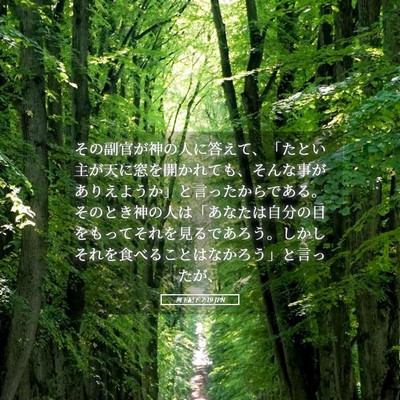 Picture 05 - 列王紀下 7:19 JPN - その副官が神の人に答えて、「たと - Bible Verse Picture