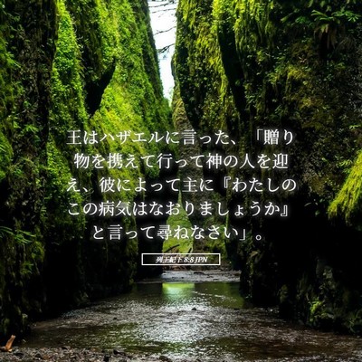 Picture 05 - 列王紀下 8:8 JPN - 王はハザエルに言った、「贈り物を - Bible Verse Picture