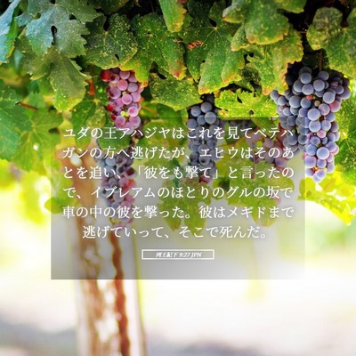 Picture 05 - 列王紀下 9:27 JPN - ユダの王アハジヤはこれを見てベテ - Bible Verse Picture