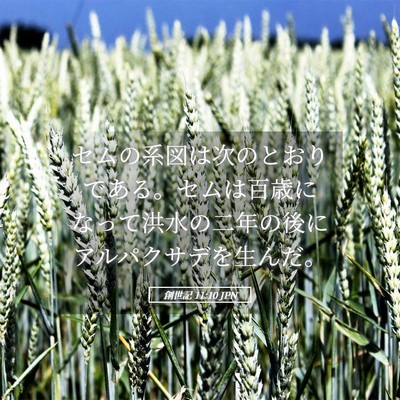 Picture 05 - 創世記 11:10 JPN - セムの系図は次のとおりである。セ - Bible Verse Picture
