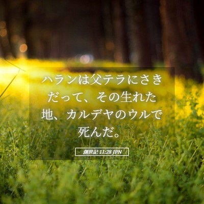 Picture 05 - 創世記 11:28 JPN - ハランは父テラにさきだって、その - Bible Verse Picture