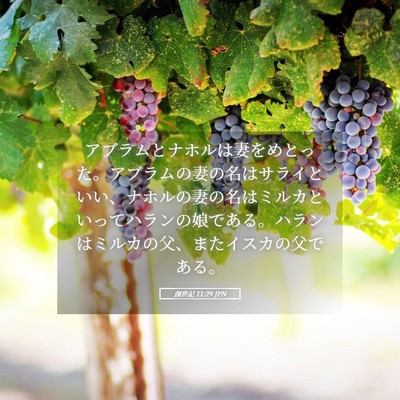 Picture 05 - 創世記 11:29 JPN - アブラムとナホルは妻をめとった。 - Bible Verse Picture