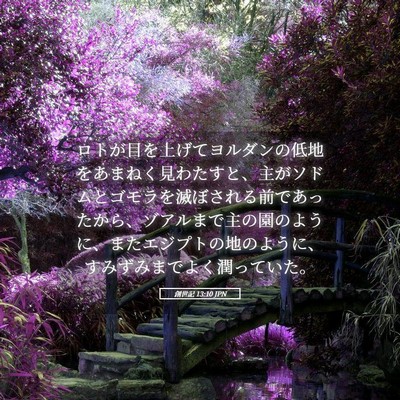 Picture 05 - 創世記 13:10 JPN - ロトが目を上げてヨルダンの低地を - Bible Verse Picture