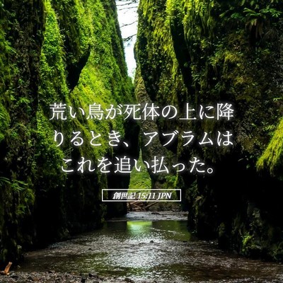 Picture 05 - 創世記 15:11 JPN - 荒い鳥が死体の上に降りるとき、ア - Bible Verse Picture