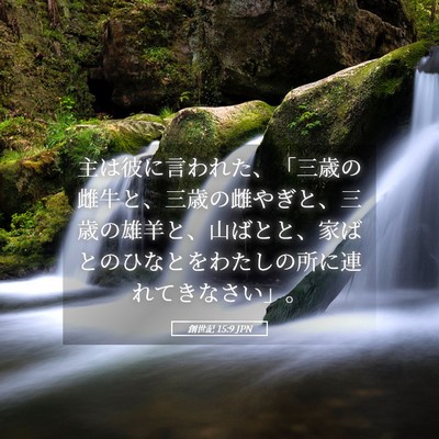 Picture 05 - 創世記 15:9 JPN - 主は彼に言われた、「三歳の雌牛と - Bible Verse Picture