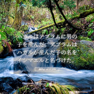 Picture 05 - 創世記 16:15 JPN - ハガルはアブラムに男の子を産んだ - Bible Verse Picture