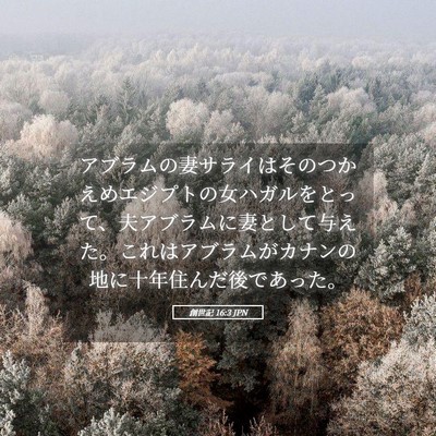Picture 05 - 創世記 16:3 JPN - アブラムの妻サライはそのつかえめ - Bible Verse Picture