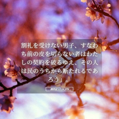 Picture 05 - 創世記 17:14 JPN - 割礼を受けない男子、すなわち前の - Bible Verse Picture