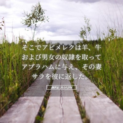 Picture 05 - 創世記 20:14 JPN - そこでアビメレクは羊、牛および男 - Bible Verse Picture