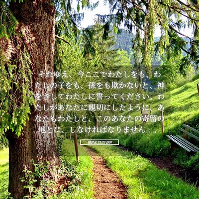Picture 05 - 創世記 21:23 JPN - それゆえ、今ここでわたしをも、わ - Bible Verse Picture