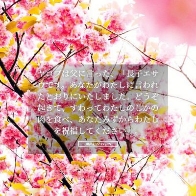 Picture 05 - 創世記 27:19 JPN - ヤコブは父に言った、「長子エサウ - Bible Verse Picture