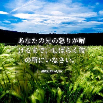 Picture 05 - 創世記 27:44 JPN - あなたの兄の怒りが解けるまで、し - Bible Verse Picture