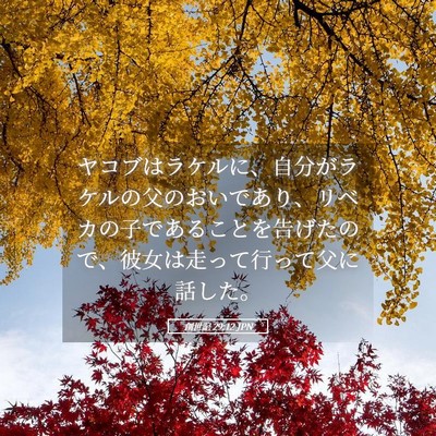 Picture 05 - 創世記 29:12 JPN - ヤコブはラケルに、自分がラケルの - Bible Verse Picture