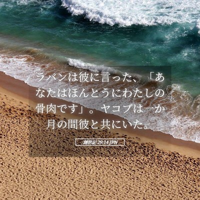 Picture 05 - 創世記 29:14 JPN - ラバンは彼に言った、「あなたはほ - Bible Verse Picture