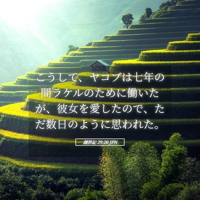 Picture 05 - 創世記 29:20 JPN - こうして、ヤコブは七年の間ラケル - Bible Verse Picture