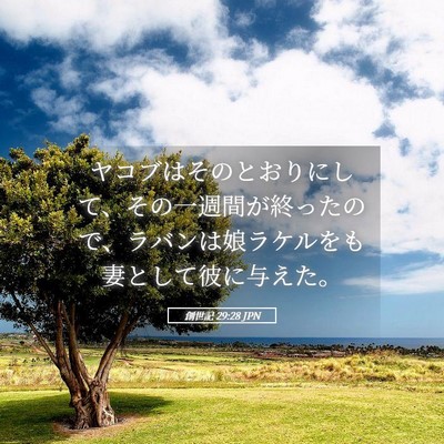 Picture 05 - 創世記 29:28 JPN - ヤコブはそのとおりにして、その一 - Bible Verse Picture