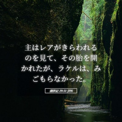 Picture 05 - 創世記 29:31 JPN - 主はレアがきらわれるのを見て、そ - Bible Verse Picture