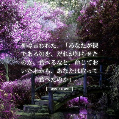Picture 05 - 創世記 3:11 JPN - 神は言われた、「あなたが裸である - Bible Verse Picture
