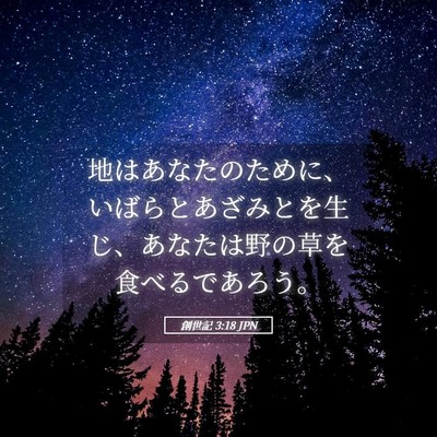 Picture 05 - 創世記 3:18 JPN - 地はあなたのために、いばらとあざ - Bible Verse Picture