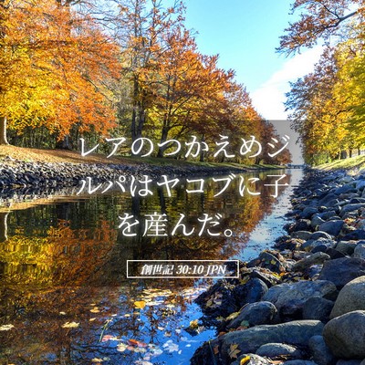 Picture 05 - 創世記 30:10 JPN - レアのつかえめジルパはヤコブに子 - Bible Verse Picture