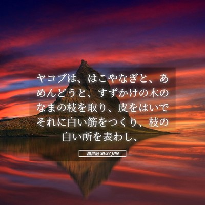 Picture 05 - 創世記 30:37 JPN - ヤコブは、はこやなぎと、あめんど - Bible Verse Picture